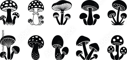 Mushroom silhouettes set, forest fungi collection, botanical shapes, wild mushrooms illustration, black silhouettes for nature, autumn, ecology design