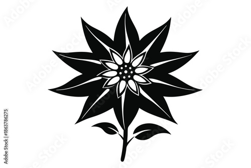 edelweiss silhouette line art vector illustration