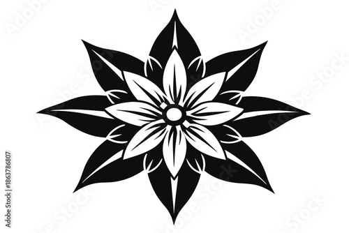 edelweiss silhouette line art vector illustration
