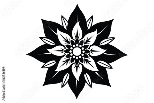 edelweiss silhouette line art vector illustration