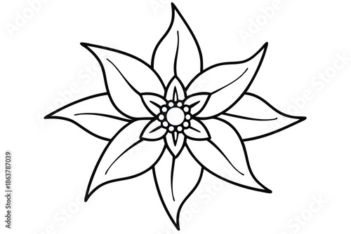 edelweiss silhouette line art vector illustration