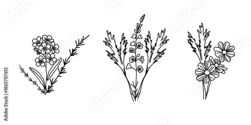 Flower bouquet wild nature set. Plant for web design. Vector illustration