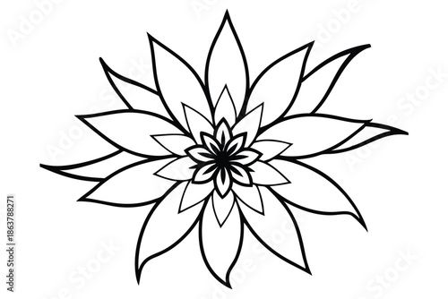 edelweiss silhouette line art vector illustration