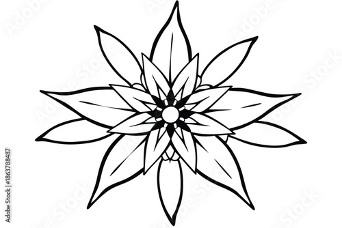 edelweiss silhouette line art vector illustration