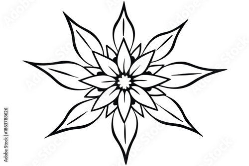 edelweiss silhouette line art vector illustration