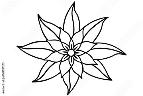 edelweiss silhouette line art vector illustration