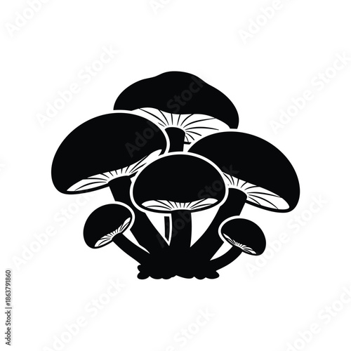 Cluster of black mushrooms isolated on white background, Vector, illustration