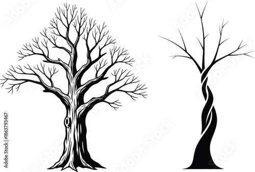 Silhouette of two bare trees on white background