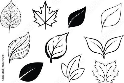 A collection of various leaf silhouettes in different shapes and sizes showcasing nature's diversity in a simple silhouette style