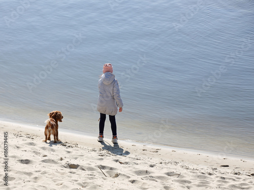A girl walking a cocker spaniel dog on the beach near the water. Holidays at sea with pets. Joyful game with a dog near the river. Breeding thoroughbred hunting dogs. A place for swimming and relax