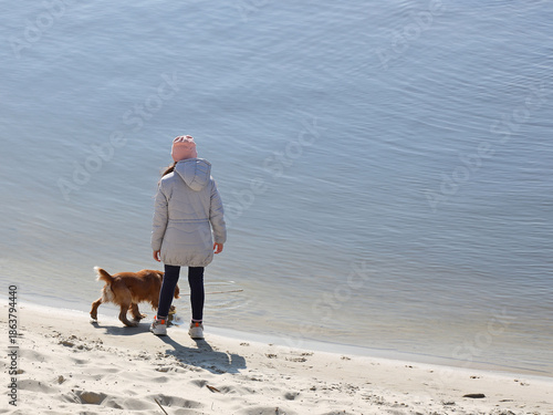 A girl walking a cocker spaniel dog on the beach near the water. Holidays at sea with pets. Joyful game with a dog near the river. Breeding thoroughbred hunting dogs. A place for swimming and relax