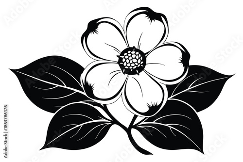 dogwood flower silhouette line art vector illustration