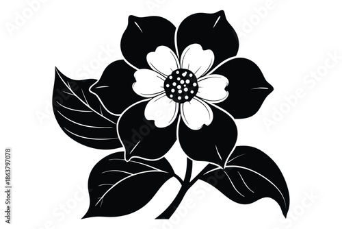 dogwood flower silhouette line art vector illustration