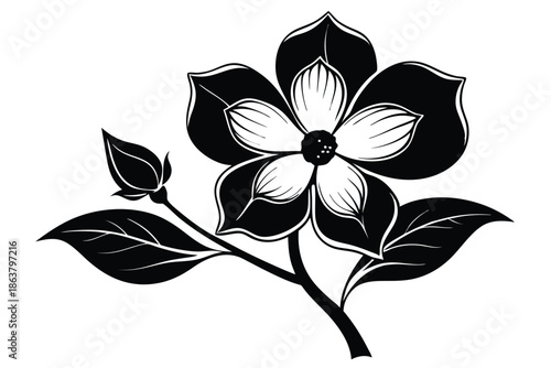 dogwood flower silhouette line art vector illustration