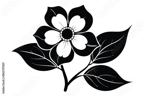 dogwood flower silhouette line art vector illustration