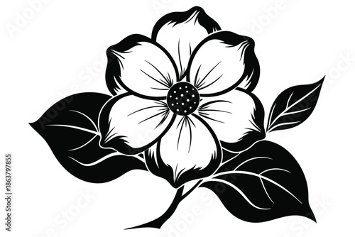 dogwood flower silhouette line art vector illustration