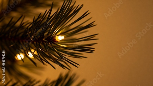 Closeup of Christmas tree branch with lights