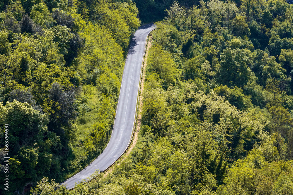Fototapeta premium highway in the forest in Tuscany