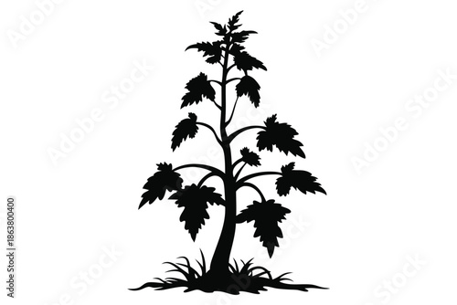 dead nettle tree silhouette line art vector illustration
