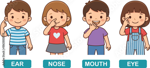 Human body parts for kids illustration showing ear nose mouth and eye identification educational cartoon characters learning anatomy