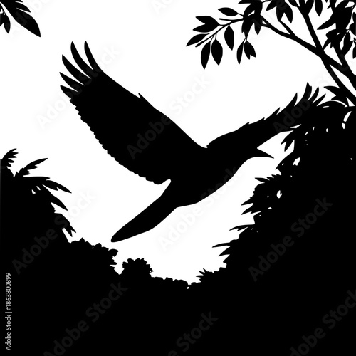 silhouette of a bird
