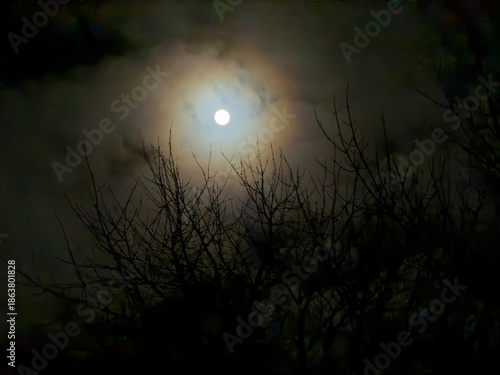 Vollmond in düsterer Nacht