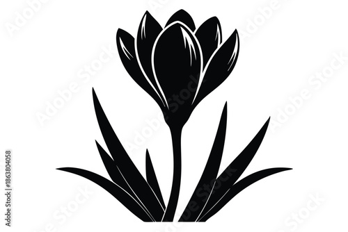 crocus silhouette line art vector illustration
