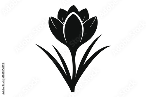 crocus silhouette line art vector illustration
