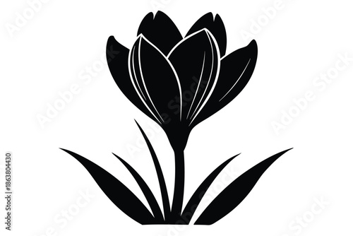 crocus silhouette line art vector illustration