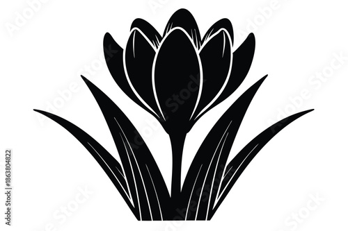 crocus silhouette line art vector illustration