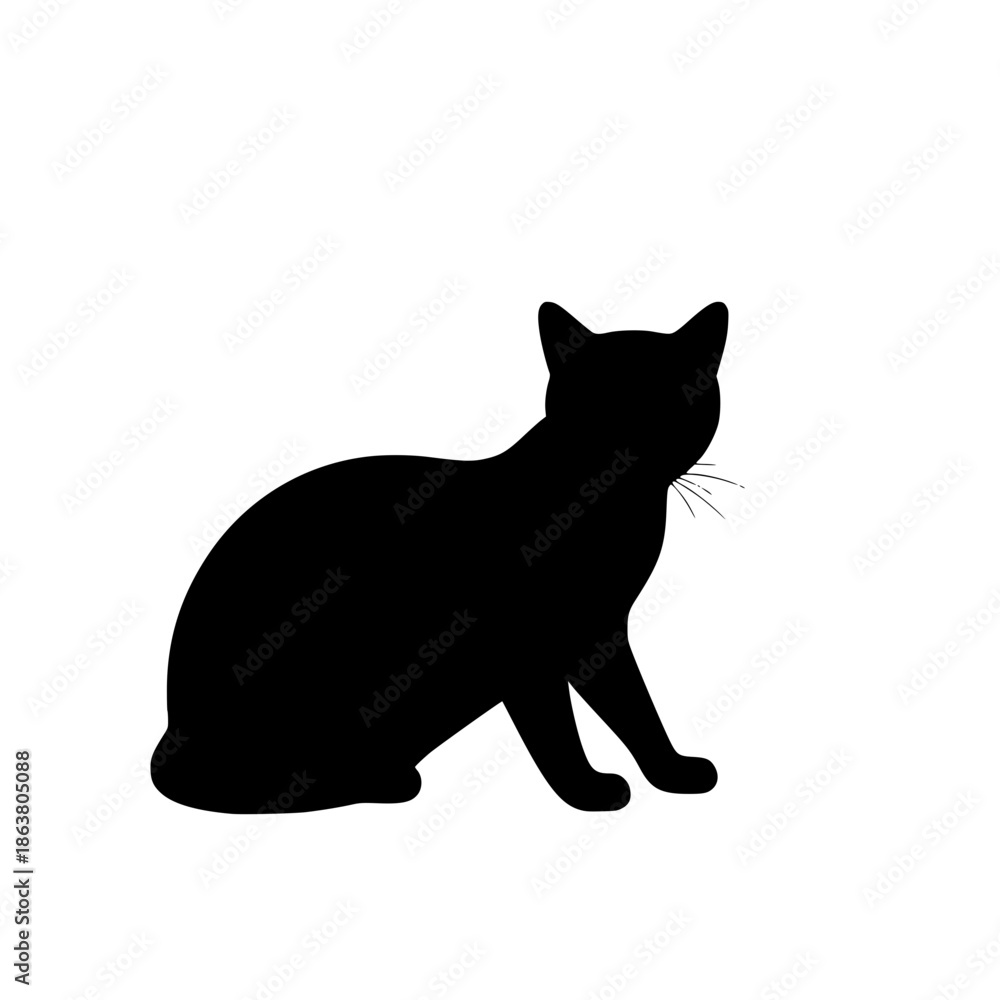 Obraz premium black cat on white background