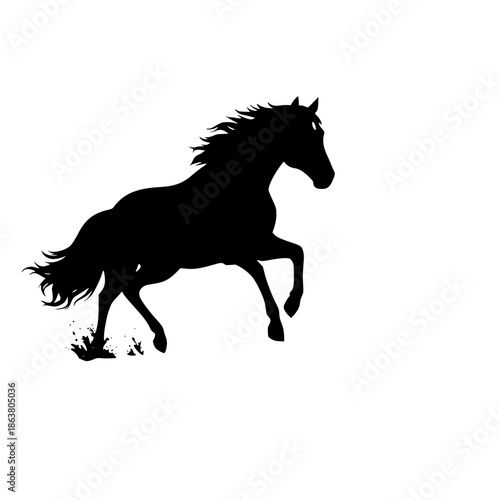 black horse running