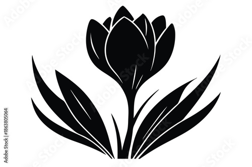 crocus silhouette line art vector illustration