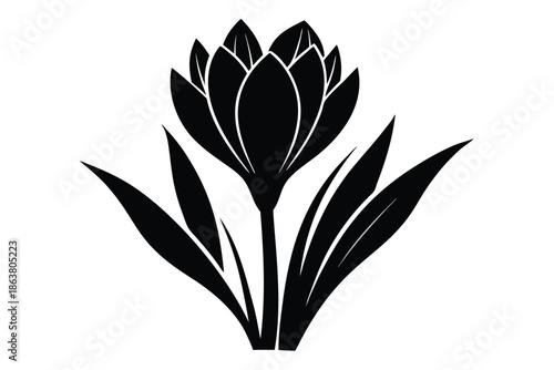 crocus silhouette line art vector illustration