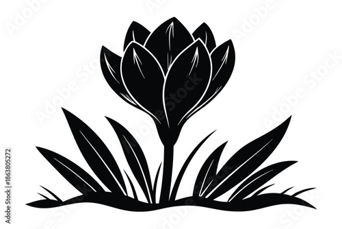 crocus silhouette line art vector illustration