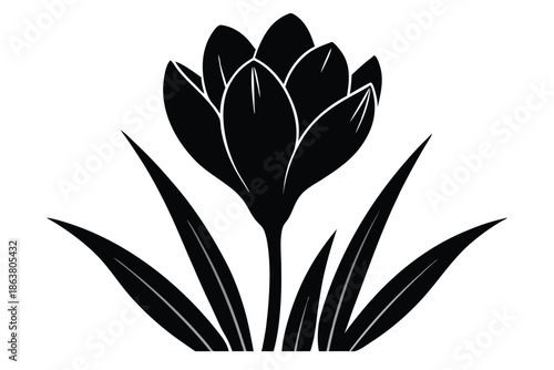 crocus silhouette line art vector illustration