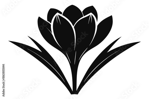 crocus silhouette line art vector illustration