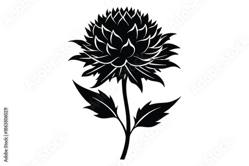 cornflower silhouette line art vector illustration