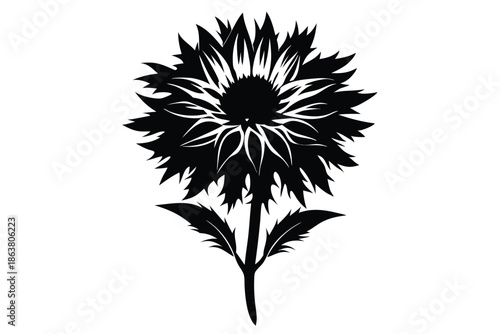 cornflower silhouette line art vector illustration