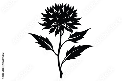 cornflower silhouette line art vector illustration