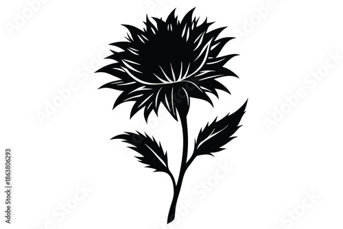 cornflower silhouette line art vector illustration
