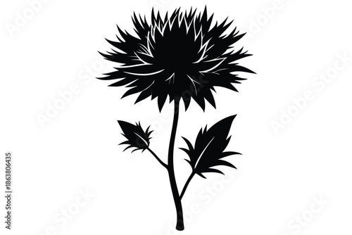 cornflower silhouette line art vector illustration