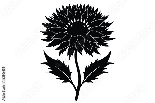 cornflower silhouette line art vector illustration