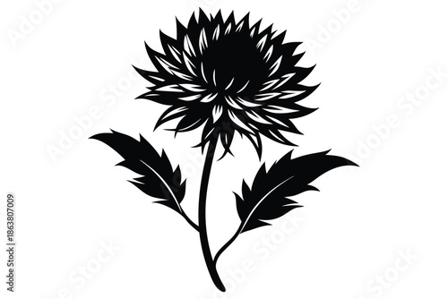 cornflower silhouette line art vector illustration