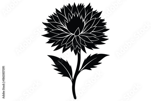 cornflower silhouette line art vector illustration