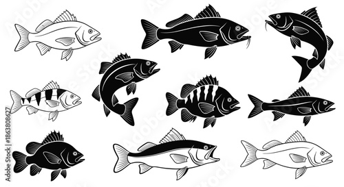 Collection of black and white stylized fish illustrations in different poses and species for fishing or nature design projects.