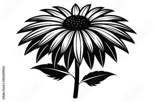 coneflower silhouette line art vector illustration
