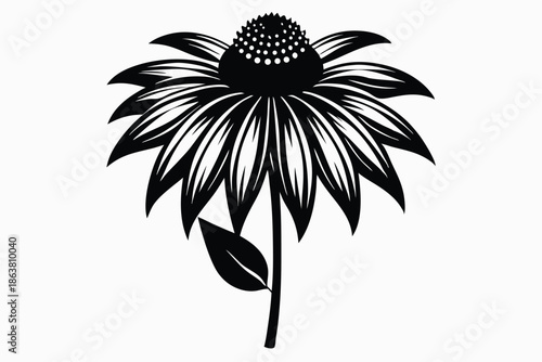 coneflower silhouette line art vector illustration