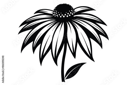 coneflower silhouette line art vector illustration
