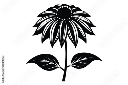 coneflower silhouette line art vector illustration